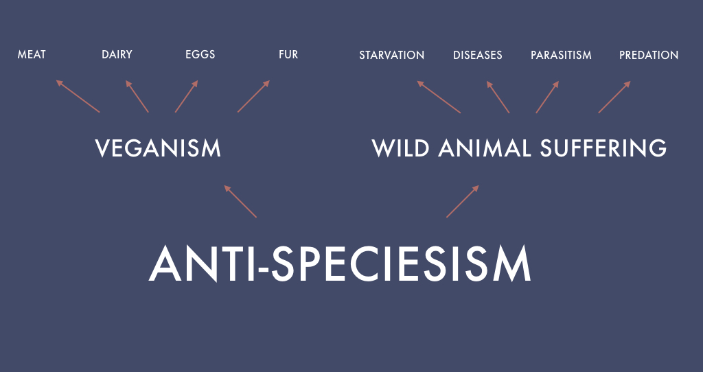 image-placeholder-title-228