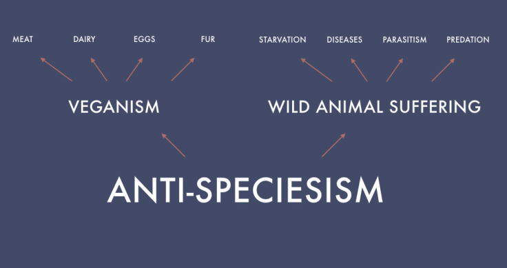 image-placeholder-title-228